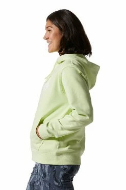 Mountain Hardwear Women's MHW Logo Pullover Hoodie -Mountain Hardwear Sales Shop 25656067 LIGHT GREEN 3 2