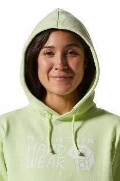 Mountain Hardwear Women's MHW Logo Pullover Hoodie -Mountain Hardwear Sales Shop 25656067 LIGHT GREEN 3 3